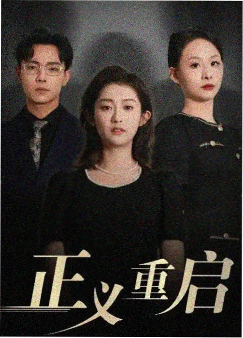 双面档案 刑侦剧集封面
